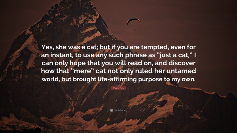 Caleb Carr Quote: “Yes, she was a cat; but if you are tempted, even for an instant, to use any such phrase as “just a cat,” I can only hope that you will read on, and discover how that “mere” cat not only ruled her untamed world, but brought life-affirming purpose to my own.”