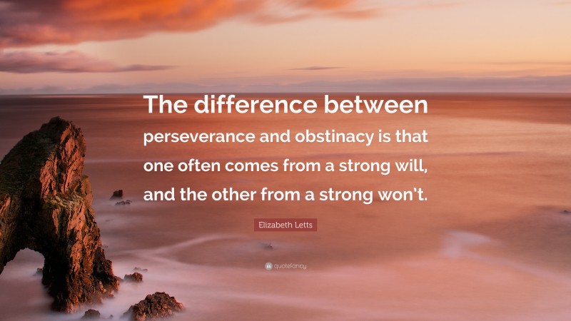 Elizabeth Letts Quote: “The difference between perseverance and obstinacy is that one often comes from a strong will, and the other from a strong won’t.”