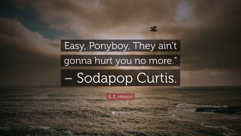 S. E. Hinton Quote: “Easy, Ponyboy, They ain’t gonna hurt you no more.” – Sodapop Curtis.”