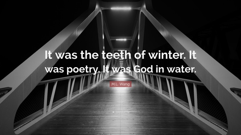 M.L. Wang Quote: “It was the teeth of winter. It was poetry. It was God in water.”