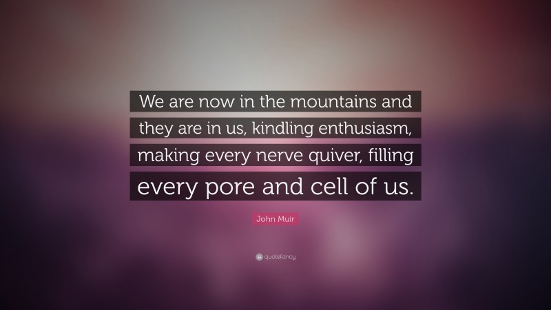 John Muir Quote: “We are now in the mountains and they are in us, kindling enthusiasm, making every nerve quiver, filling every pore and cell of us.”