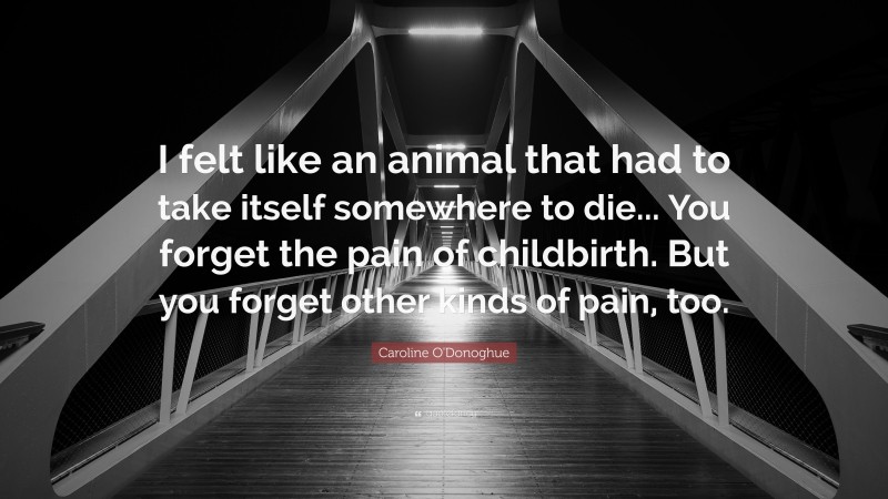 Caroline O'Donoghue Quote: “I felt like an animal that had to take itself somewhere to die... You forget the pain of childbirth. But you forget other kinds of pain, too.”