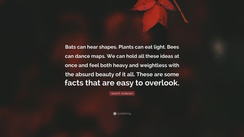 Jarod K. Anderson Quote: “Bats can hear shapes. Plants can eat light. Bees can dance maps. We can hold all these ideas at once and feel both heavy and weightless with the absurd beauty of it all. These are some facts that are easy to overlook.”