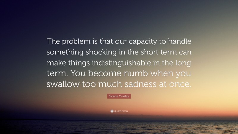 Sloane Crosley Quote: “The problem is that our capacity to handle something shocking in the short term can make things indistinguishable in the long term. You become numb when you swallow too much sadness at once.”