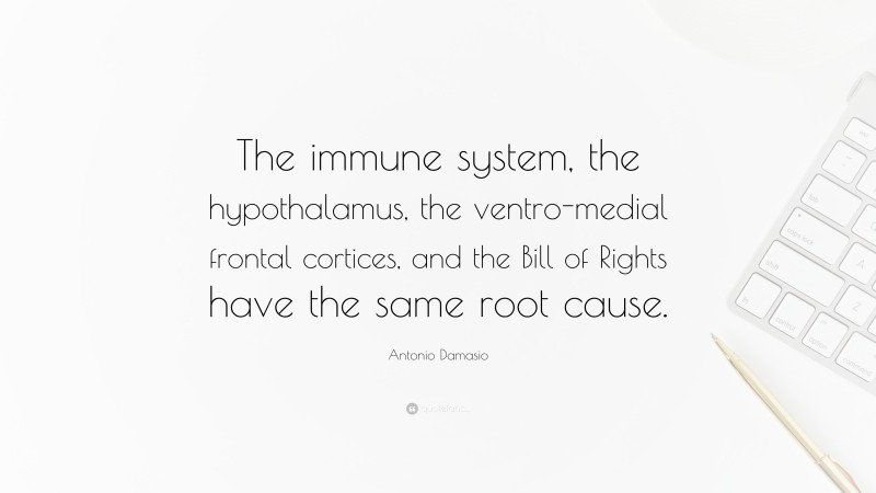 Antonio Damasio Quote: “The immune system, the hypothalamus, the ventro-medial frontal cortices, and the Bill of Rights have the same root cause.”