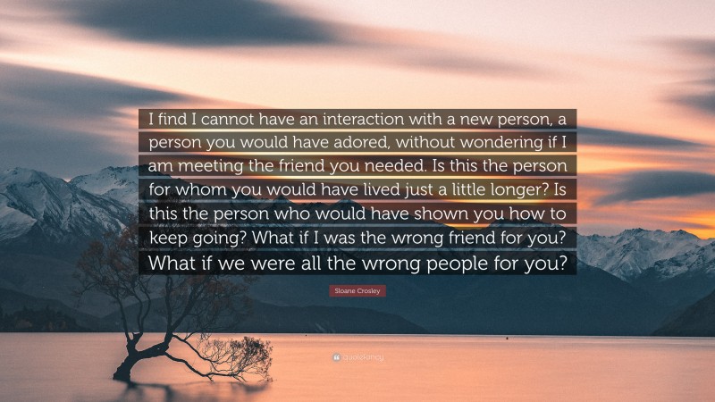 Sloane Crosley Quote: “I find I cannot have an interaction with a new person, a person you would have adored, without wondering if I am meeting the friend you needed. Is this the person for whom you would have lived just a little longer? Is this the person who would have shown you how to keep going? What if I was the wrong friend for you? What if we were all the wrong people for you?”