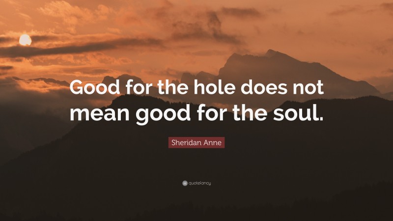 Sheridan Anne Quote: “Good for the hole does not mean good for the soul.”