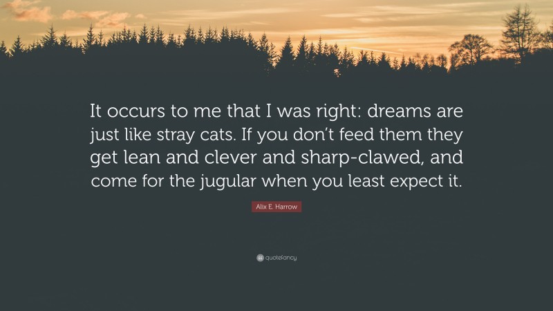 Alix E. Harrow Quote: “It occurs to me that I was right: dreams are just like stray cats. If you don’t feed them they get lean and clever and sharp-clawed, and come for the jugular when you least expect it.”
