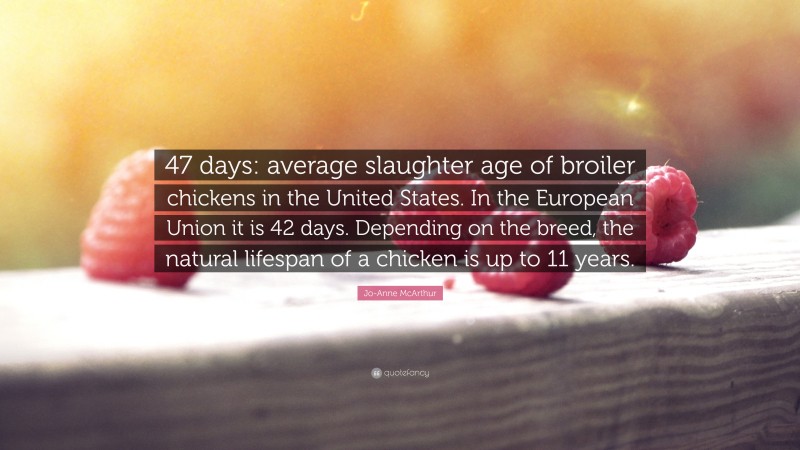 Jo-Anne McArthur Quote: “47 days: average slaughter age of broiler chickens in the United States. In the European Union it is 42 days. Depending on the breed, the natural lifespan of a chicken is up to 11 years.”