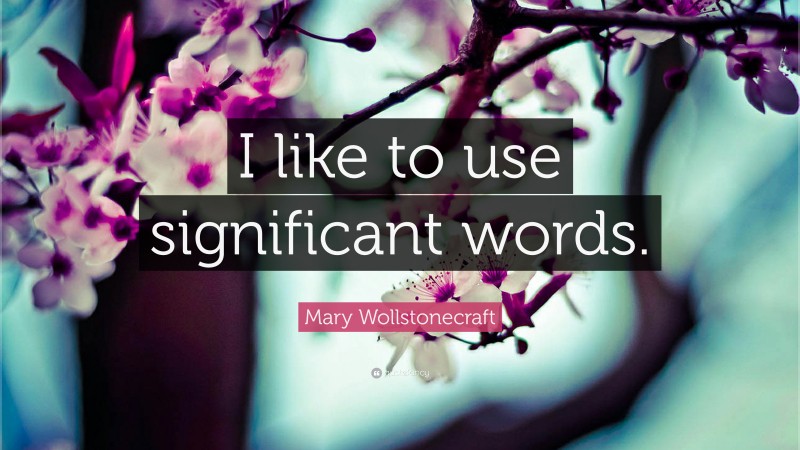 Mary Wollstonecraft Quote: “I like to use significant words.”