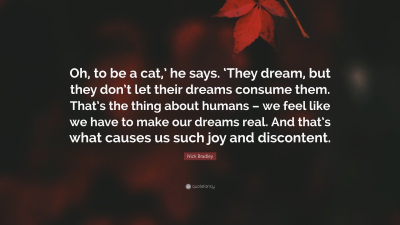 Nick Bradley Quote: “Oh, to be a cat,’ he says. ‘They dream, but they don’t let their dreams consume them. That’s the thing about humans – we feel like we have to make our dreams real. And that’s what causes us such joy and discontent.”