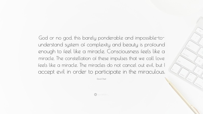 David Sheff Quote: “God or no god, this barely ponderable and impossible-to-understand system of complexity and beauty is profound enough to feel like a miracle. Consciousness feels like a miracle. The constellation of these impulses that we call love feels like a miracle. The miracles do not cancel out evil, but I accept evil in order to participate in the miraculous.”