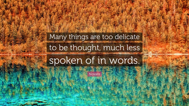 Novalis Quote: “Many things are too delicate to be thought, much less spoken of in words.”