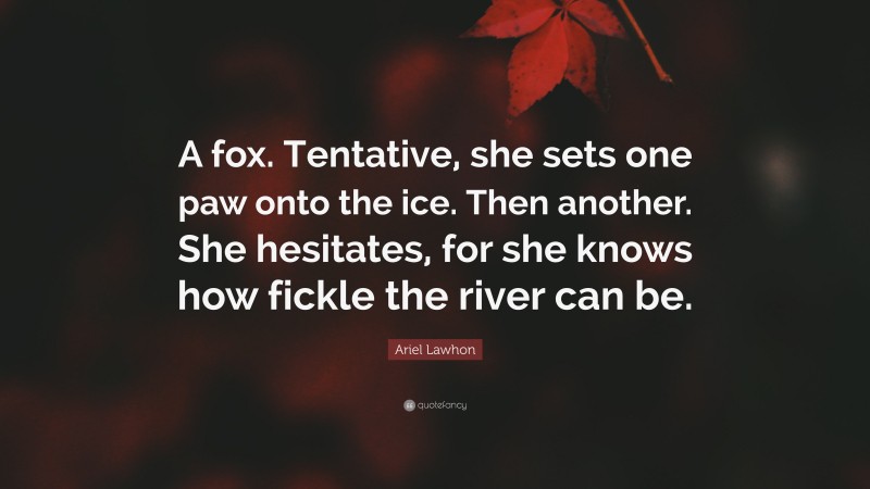 Ariel Lawhon Quote: “A fox. Tentative, she sets one paw onto the ice. Then another. She hesitates, for she knows how fickle the river can be.”