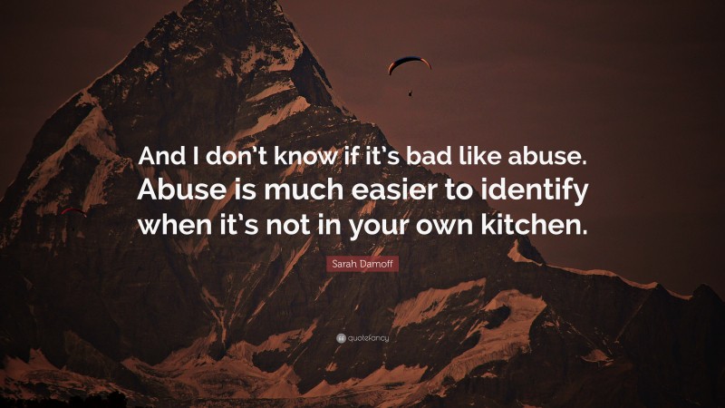Sarah Damoff Quote: “And I don’t know if it’s bad like abuse. Abuse is much easier to identify when it’s not in your own kitchen.”