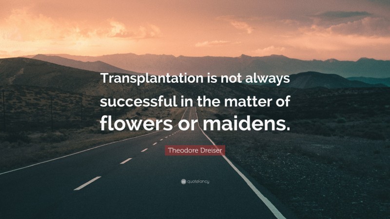 Theodore Dreiser Quote: “Transplantation is not always successful in the matter of flowers or maidens.”