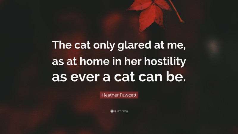 Heather Fawcett Quote: “The cat only glared at me, as at home in her hostility as ever a cat can be.”