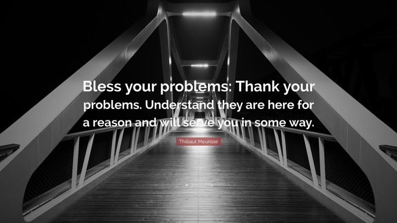 Thibaut Meurisse Quote: “Bless your problems: Thank your problems. Understand they are here for a reason and will serve you in some way.”