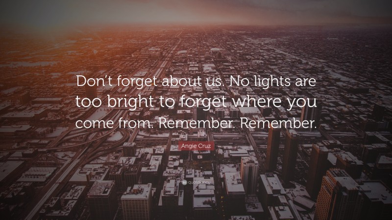 Angie Cruz Quote: “Don’t forget about us. No lights are too bright to forget where you come from. Remember. Remember.”