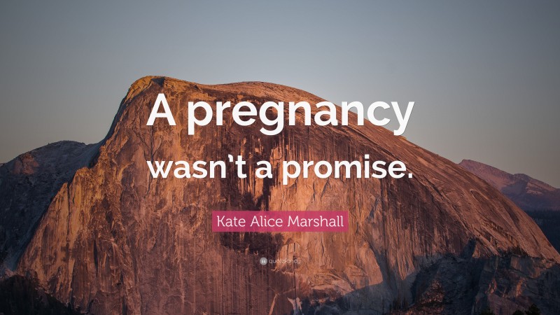 Kate Alice Marshall Quote: “A pregnancy wasn’t a promise.”