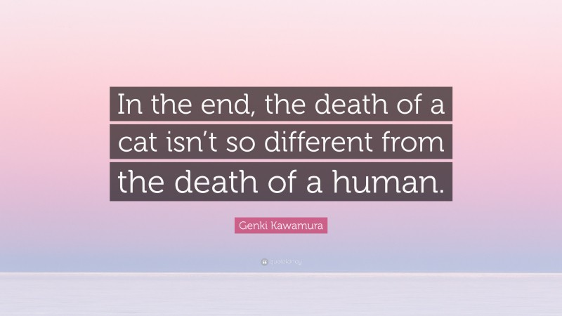 Genki Kawamura Quote: “In the end, the death of a cat isn’t so different from the death of a human.”
