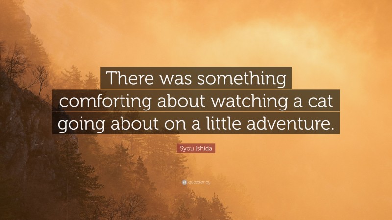 Syou Ishida Quote: “There was something comforting about watching a cat going about on a little adventure.”