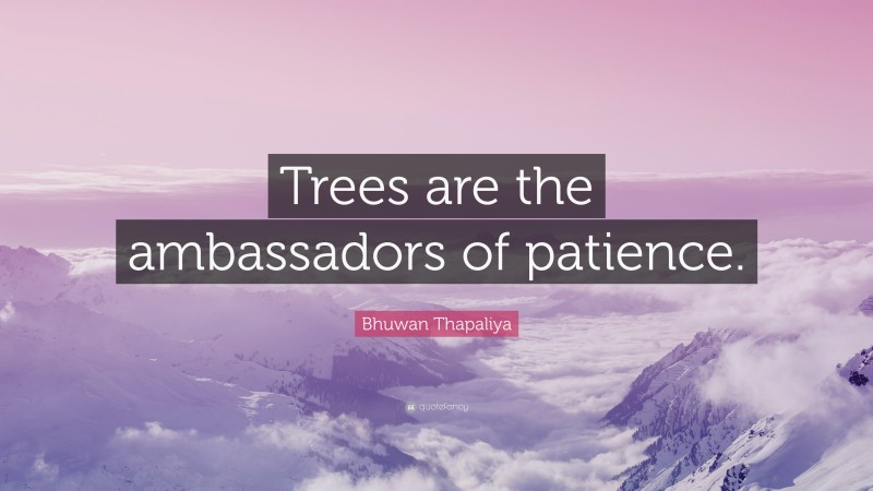 Bhuwan Thapaliya Quote: “Trees are the ambassadors of patience.”