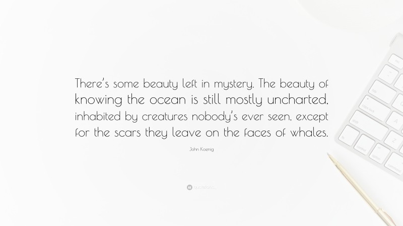 John Koenig Quote: “There’s some beauty left in mystery. The beauty of knowing the ocean is still mostly uncharted, inhabited by creatures nobody’s ever seen, except for the scars they leave on the faces of whales.”