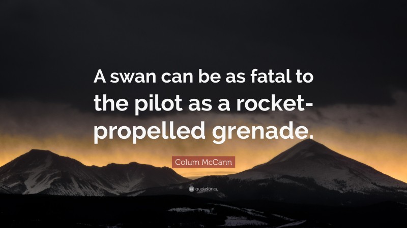 Colum McCann Quote: “A swan can be as fatal to the pilot as a rocket-propelled grenade.”