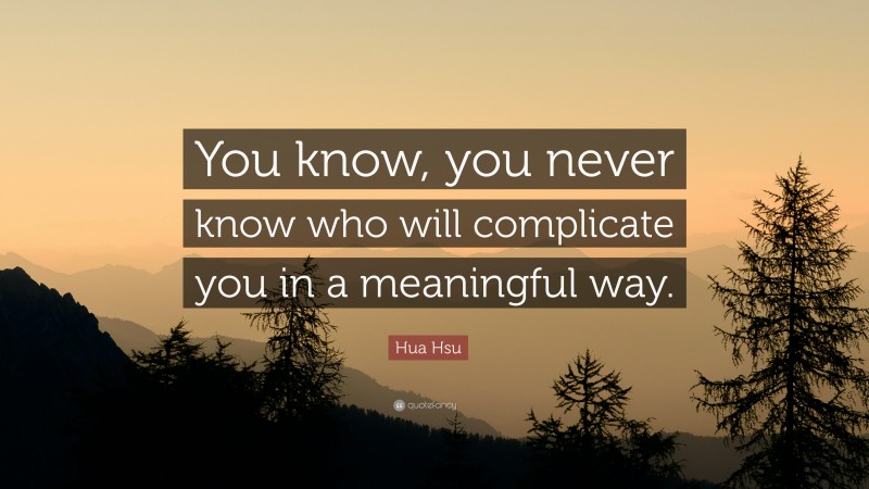 Hua Hsu Quote: “You know, you never know who will complicate you in a meaningful way.”