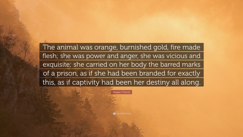 Maggie O'Farrell Quote: “The animal was orange, burnished gold, fire made flesh; she was power and anger, she was vicious and exquisite; she carried on her body the barred marks of a prison, as if she had been branded for exactly this, as if captivity had been her destiny all along.”