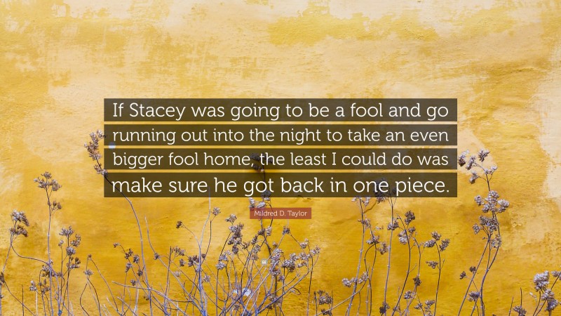 Mildred D. Taylor Quote: “If Stacey was going to be a fool and go running out into the night to take an even bigger fool home, the least I could do was make sure he got back in one piece.”