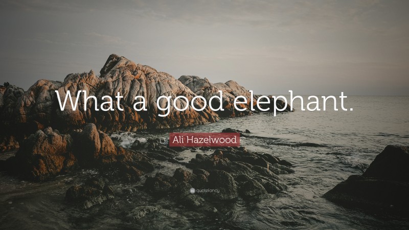 Ali Hazelwood Quote: “What a good elephant.”