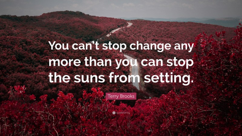Terry Brooks Quote: “You can’t stop change any more than you can stop the suns from setting.”