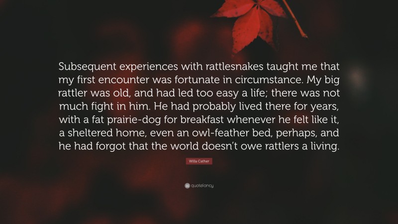 Willa Cather Quote: “Subsequent experiences with rattlesnakes taught me that my first encounter was fortunate in circumstance. My big rattler was old, and had led too easy a life; there was not much fight in him. He had probably lived there for years, with a fat prairie-dog for breakfast whenever he felt like it, a sheltered home, even an owl-feather bed, perhaps, and he had forgot that the world doesn’t owe rattlers a living.”