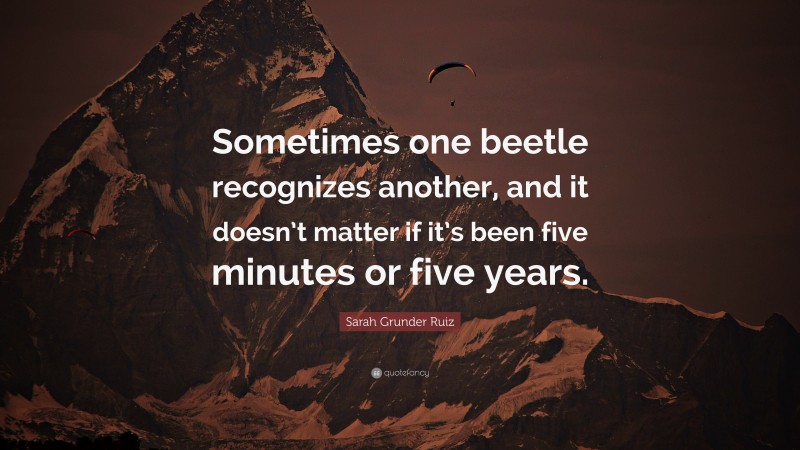 Sarah Grunder Ruiz Quote: “Sometimes one beetle recognizes another, and it doesn’t matter if it’s been five minutes or five years.”
