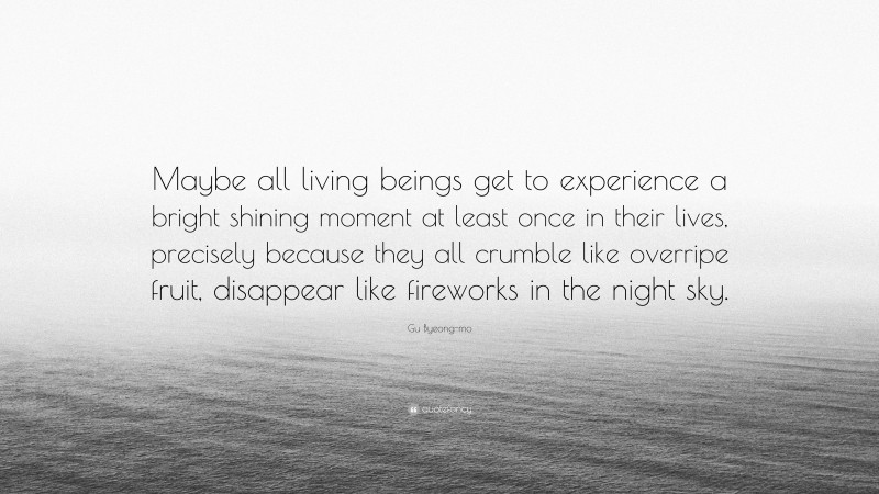 Gu Byeong-mo Quote: “Maybe all living beings get to experience a bright shining moment at least once in their lives, precisely because they all crumble like overripe fruit, disappear like fireworks in the night sky.”