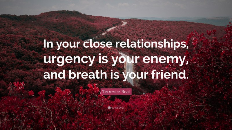 Terrence Real Quote: “In your close relationships, urgency is your enemy, and breath is your friend.”