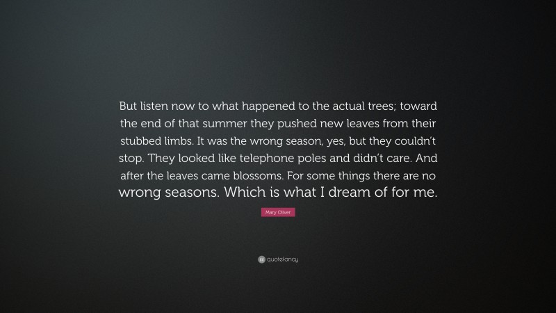 Mary Oliver Quote: “But listen now to what happened to the actual trees; toward the end of that summer they pushed new leaves from their stubbed limbs. It was the wrong season, yes, but they couldn’t stop. They looked like telephone poles and didn’t care. And after the leaves came blossoms. For some things there are no wrong seasons. Which is what I dream of for me.”