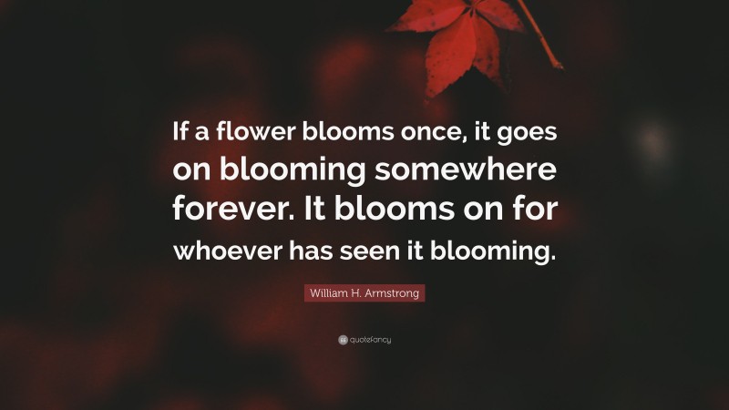 William H. Armstrong Quote: “If a flower blooms once, it goes on blooming somewhere forever. It blooms on for whoever has seen it blooming.”