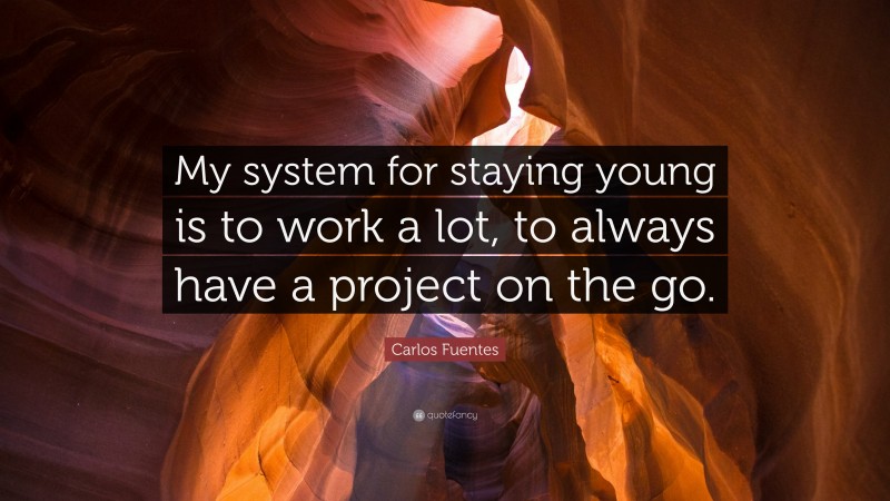 Carlos Fuentes Quote: “My system for staying young is to work a lot, to always have a project on the go.”