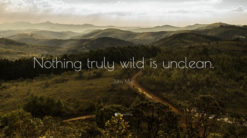 John Muir Quote: “Nothing truly wild is unclean.”