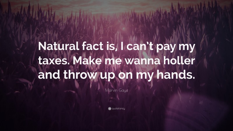 Marvin Gaye Quote: “Natural fact is, I can’t pay my taxes. Make me wanna holler and throw up on my hands.”