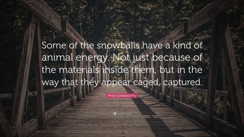 Andy Goldsworthy Quote: “Some of the snowballs have a kind of animal energy. Not just because of the materials inside them, but in the way that they appear caged, captured.”