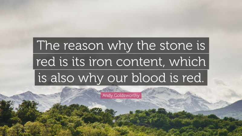 Andy Goldsworthy Quote: “The reason why the stone is red is its iron content, which is also why our blood is red.”