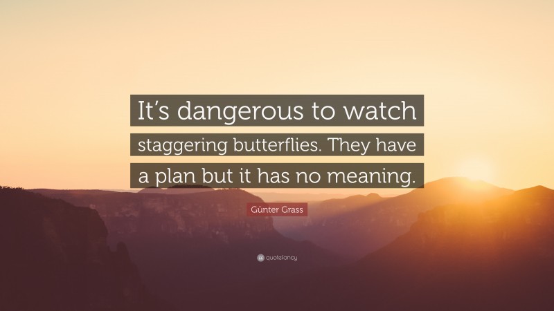 Günter Grass Quote: “It’s dangerous to watch staggering butterflies. They have a plan but it has no meaning.”