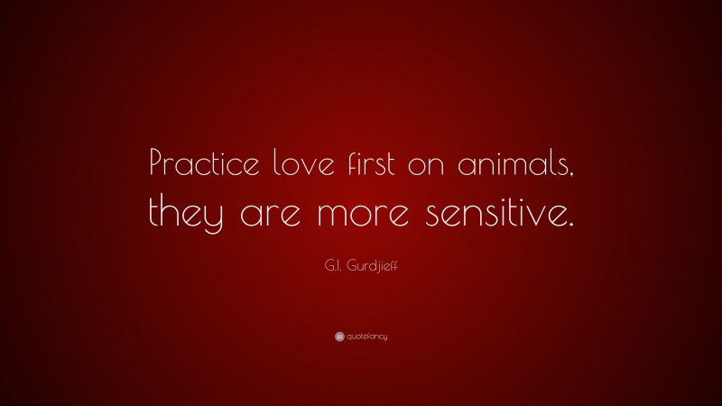 G.I. Gurdjieff Quote: “Practice love first on animals, they are more sensitive.”