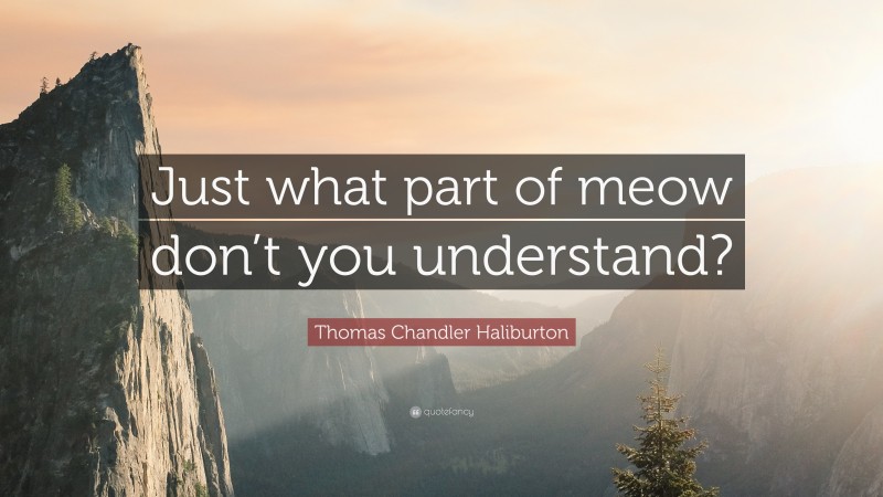 Thomas Chandler Haliburton Quote: “Just what part of meow don’t you understand?”