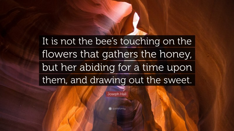 Joseph Hall Quote: “It is not the bee’s touching on the flowers that gathers the honey, but her abiding for a time upon them, and drawing out the sweet.”