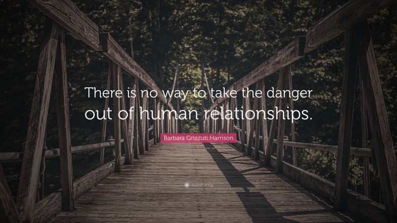 Barbara Grizzuti Harrison Quote: “There is no way to take the danger out of human relationships.”